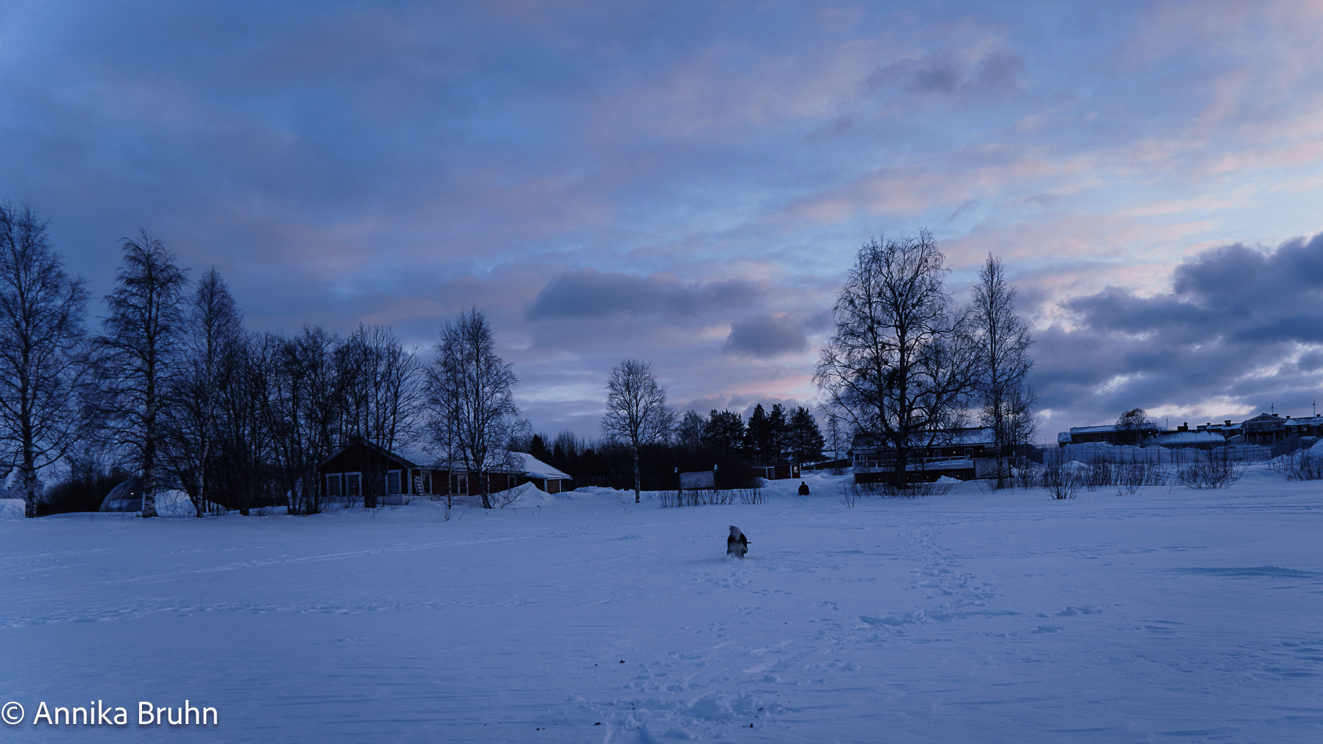 Q tobt noch einmal am Abend